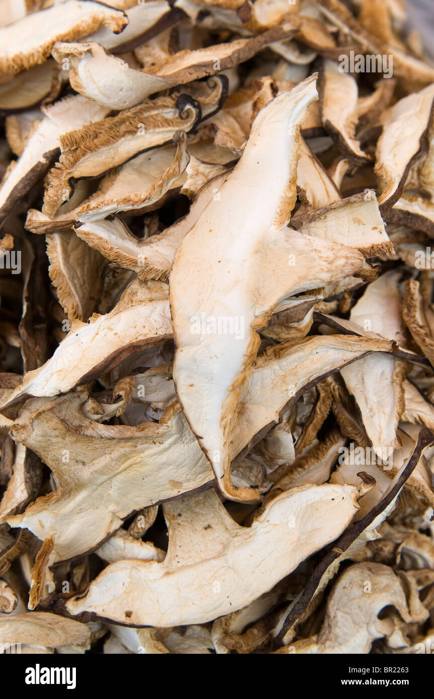 Stand fungal hires stock photography and images Alamy