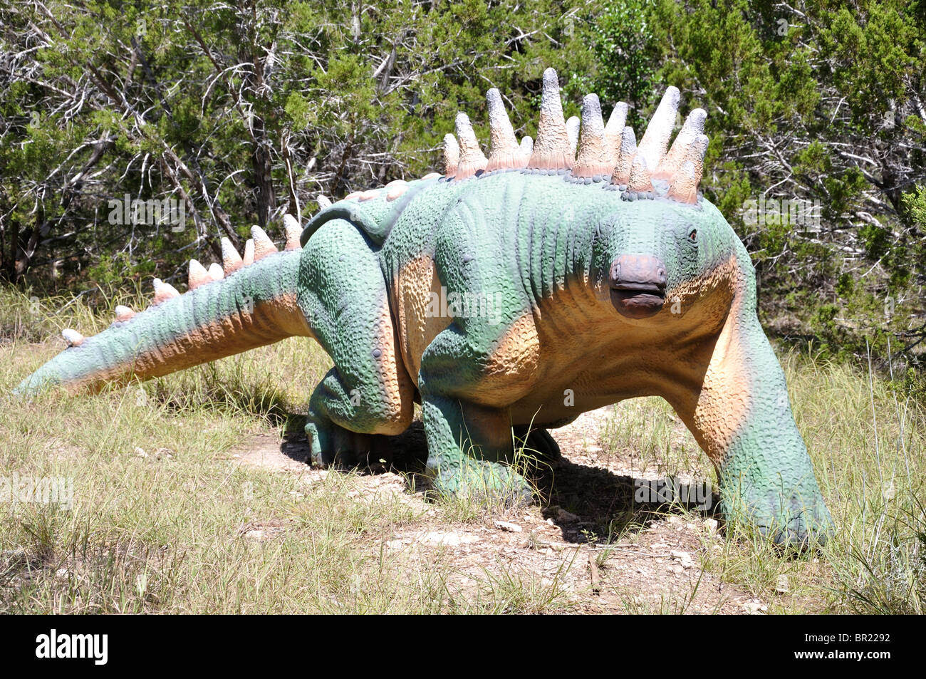 Dinosaur dinosaurs dino gastonia world museum exhibition glen rose hi