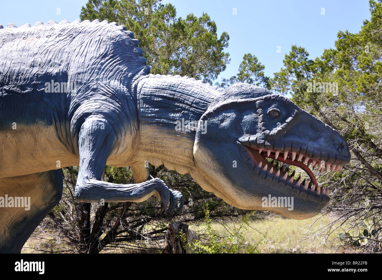 Dinosaur dinosaurs dino dryptosaurus world museum exhibition glen rose