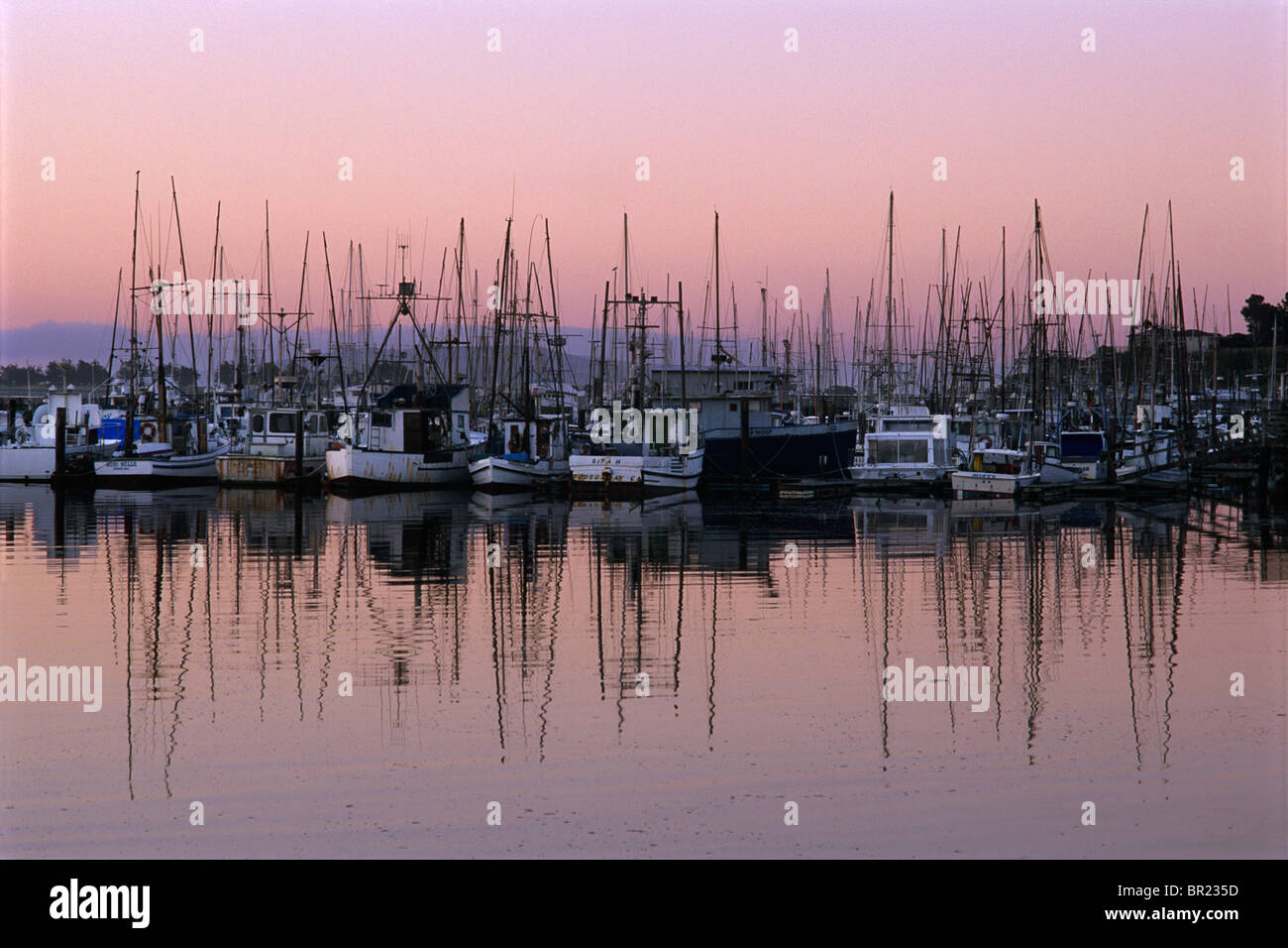 Fishing Boats in Bodega Bay Stock Photo Alamy