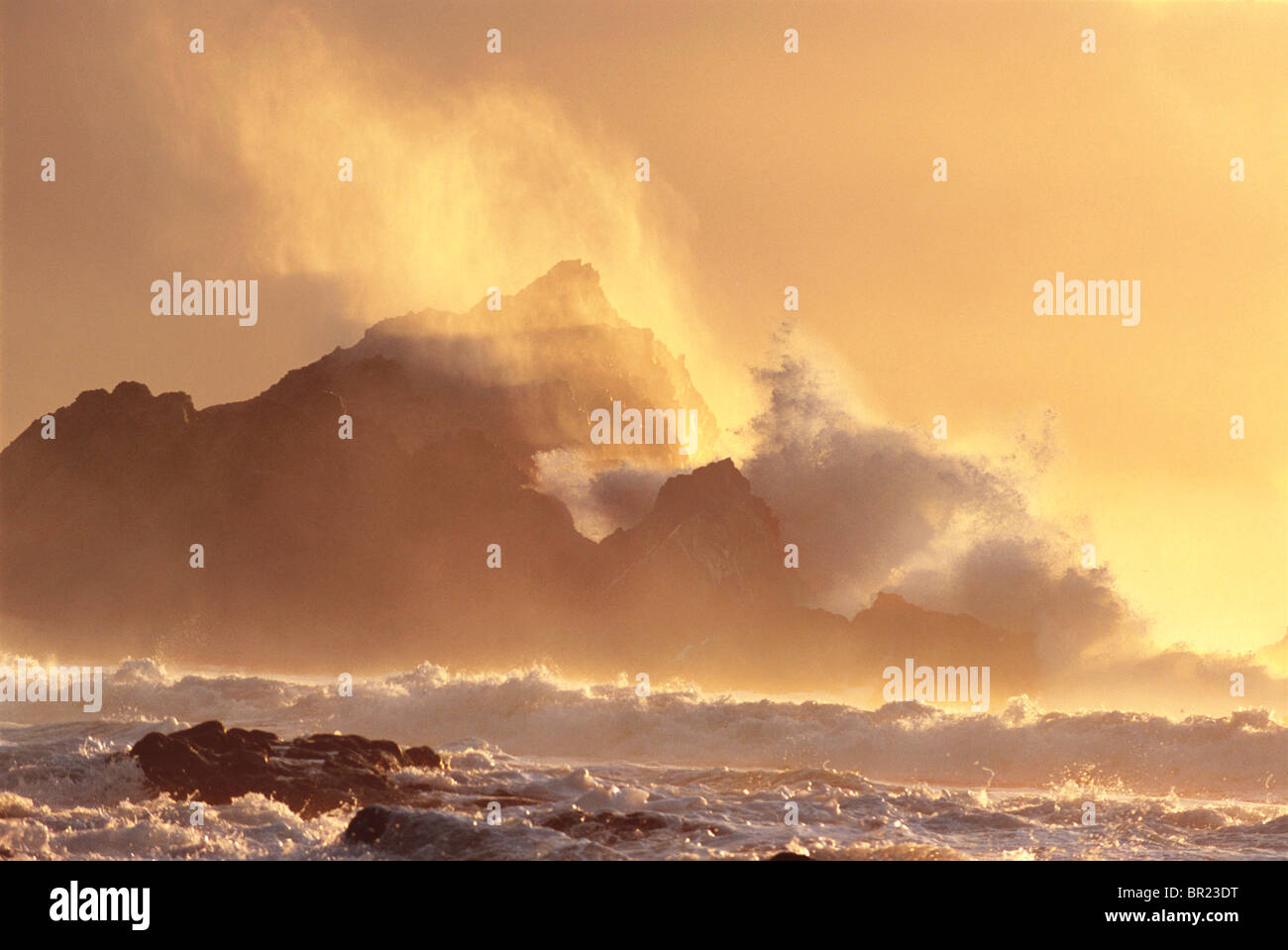 McClures Rock, Point Reyes Stock Photo Alamy