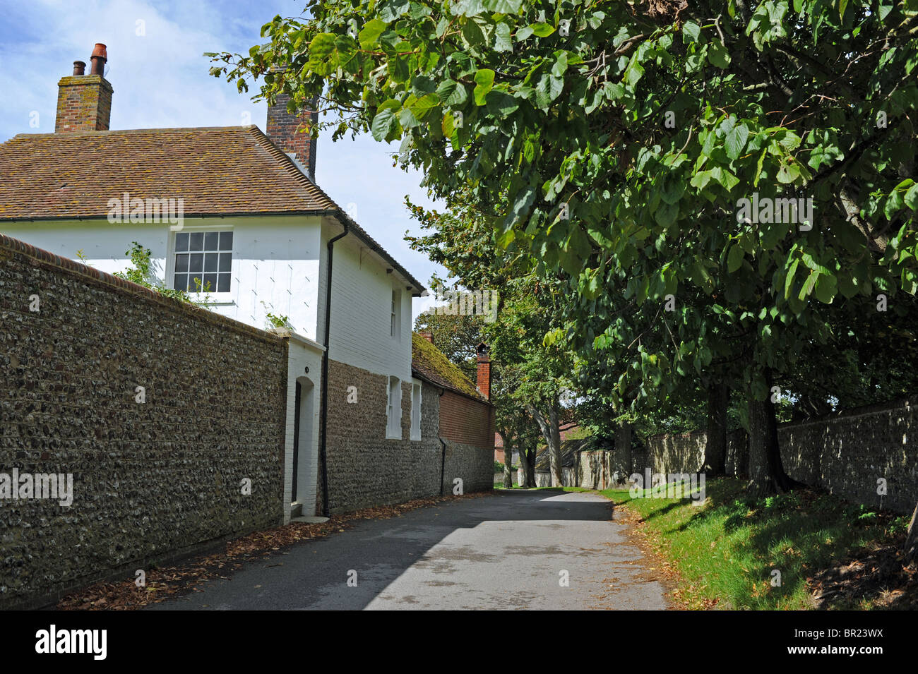 Cottages in the village of Firle near Lewes East Sussex UK Stock Photo