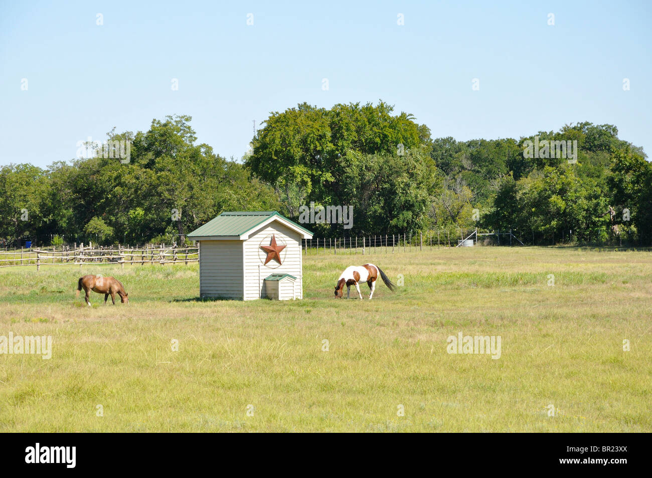 Texas ranch, USA Stock Photo Alamy