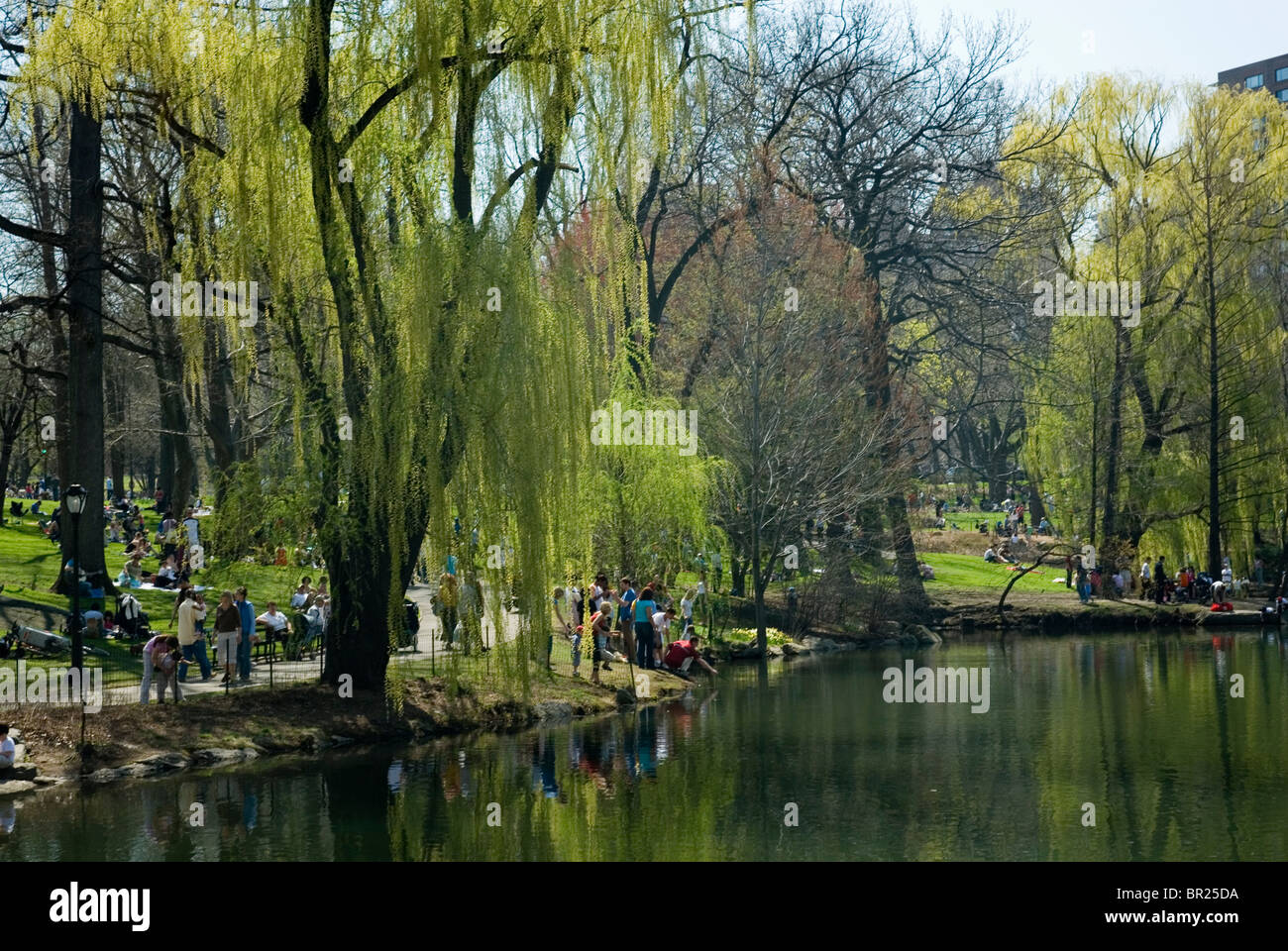 Central Park pond in New York City Stock Photo - Alamy