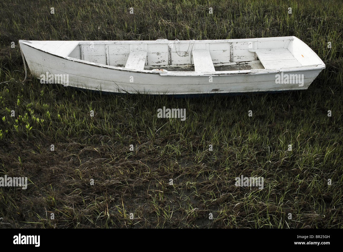 An old white row boat rests in the grass Stock Photo - Alamy