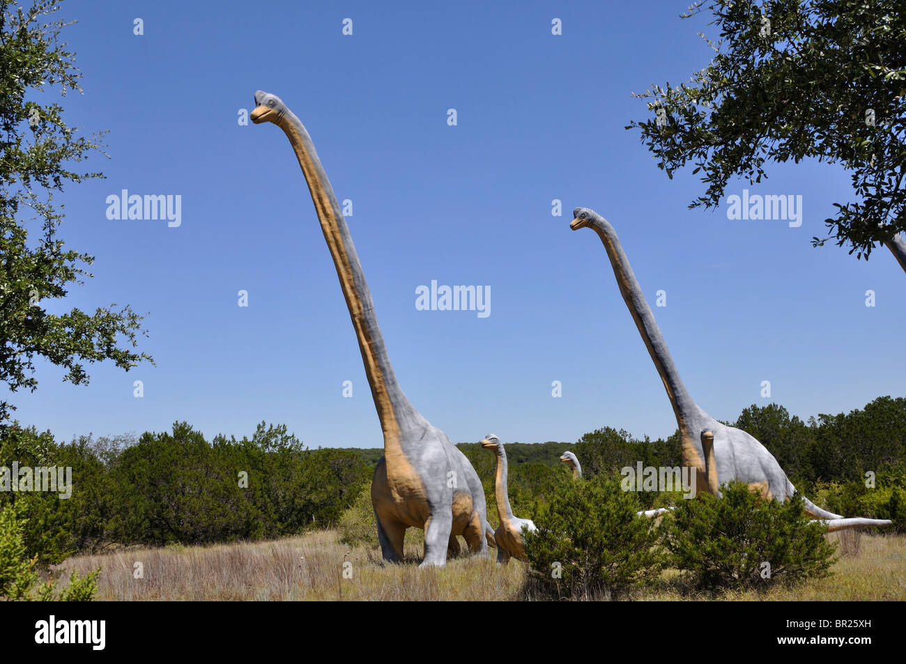 Ultrasaurus, Dinosaur World, Glen Rose, Texas, USA Stock Photo Alamy