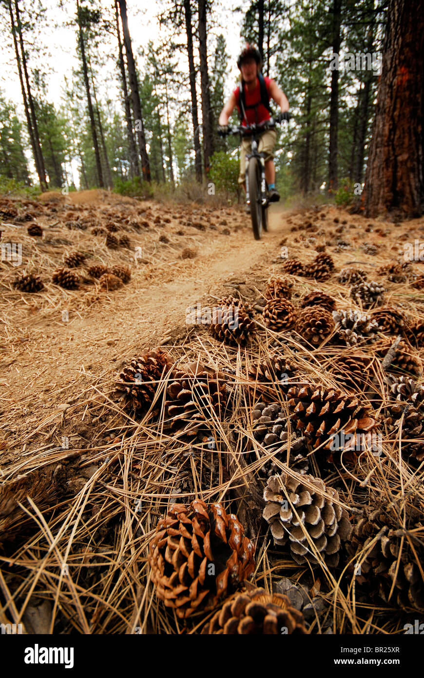 Woman mountain biking. Bend, Oregon, USA Stock Photo Alamy