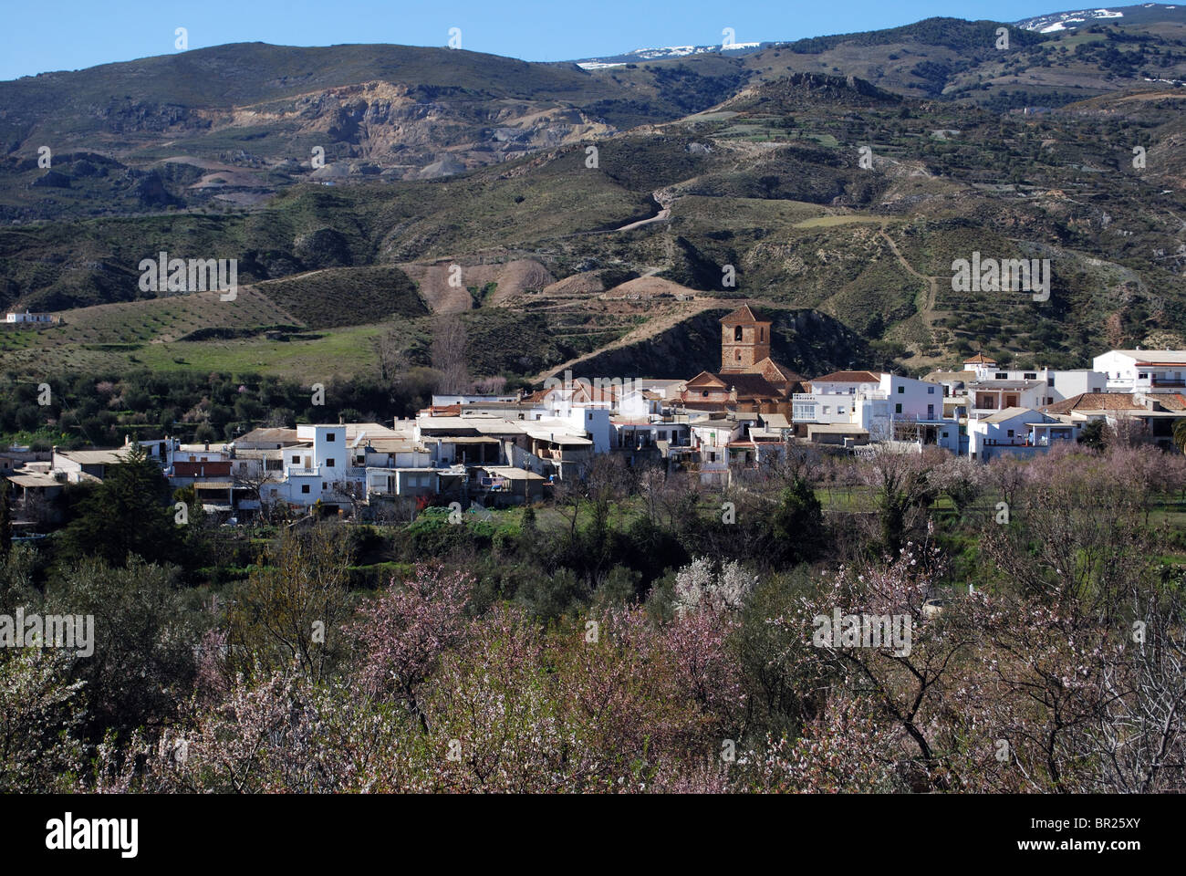 View of whitewashed village (pueblo blanco), Cadiar, Las Alpujarras, Granada Province, Andalucia, Spain, Western Europe. Stock Photo