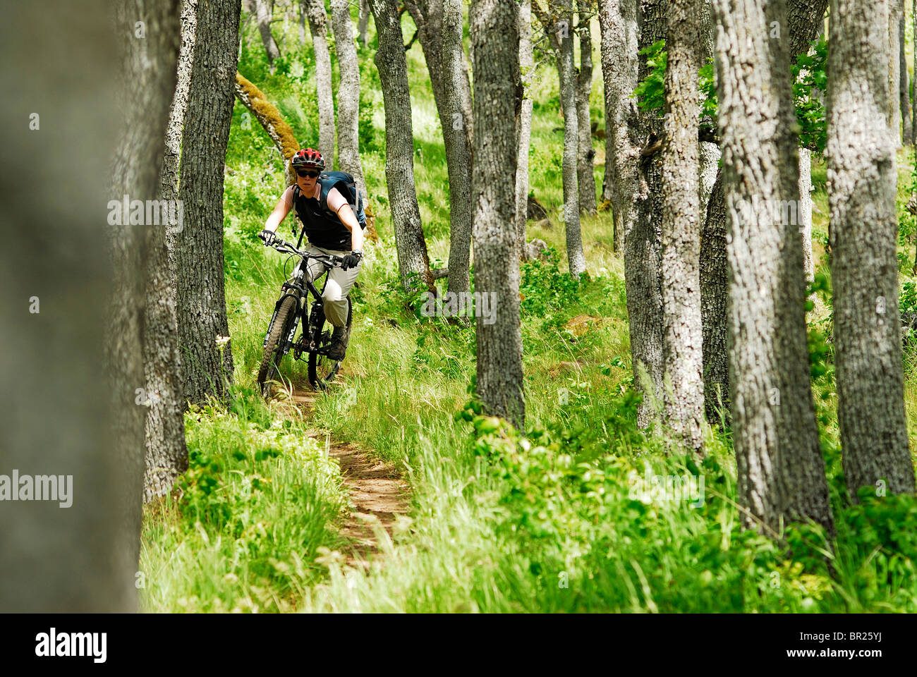 Woman mountain biking. Hood River, Oregon, USA Stock Photo Alamy