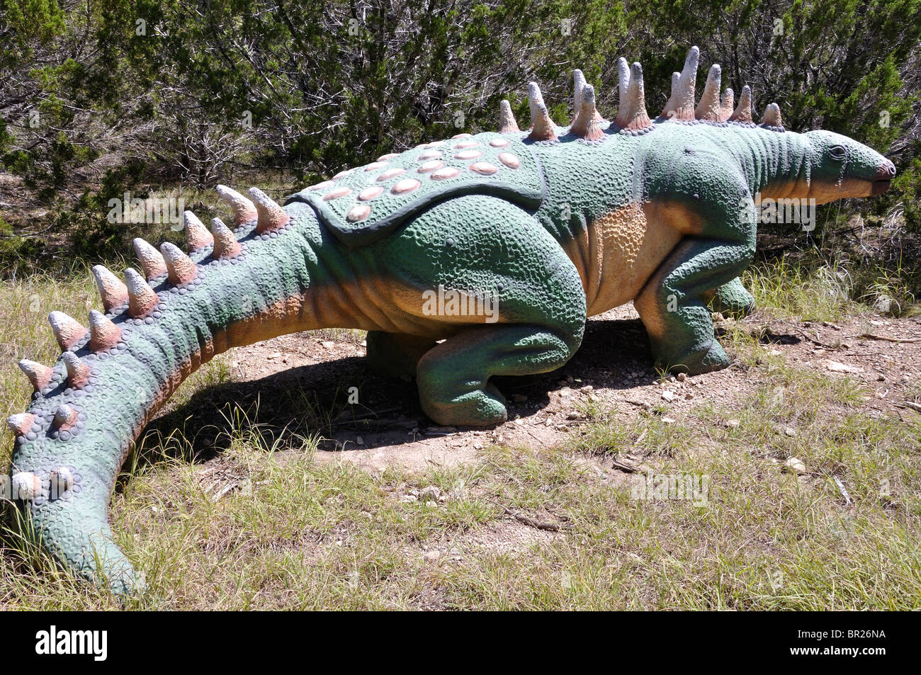 Gastonia, Dinosaur World, Glen Rose, Texas, USA Stock Photo Alamy