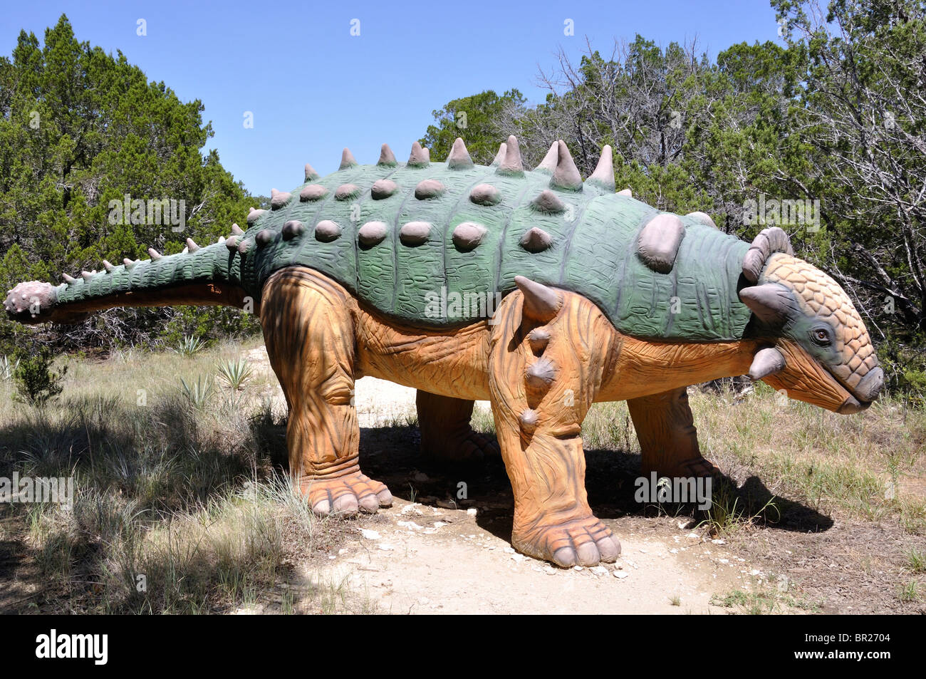 Dinosaur dinosaurs dino euoplocephalus world museum exhibition glen