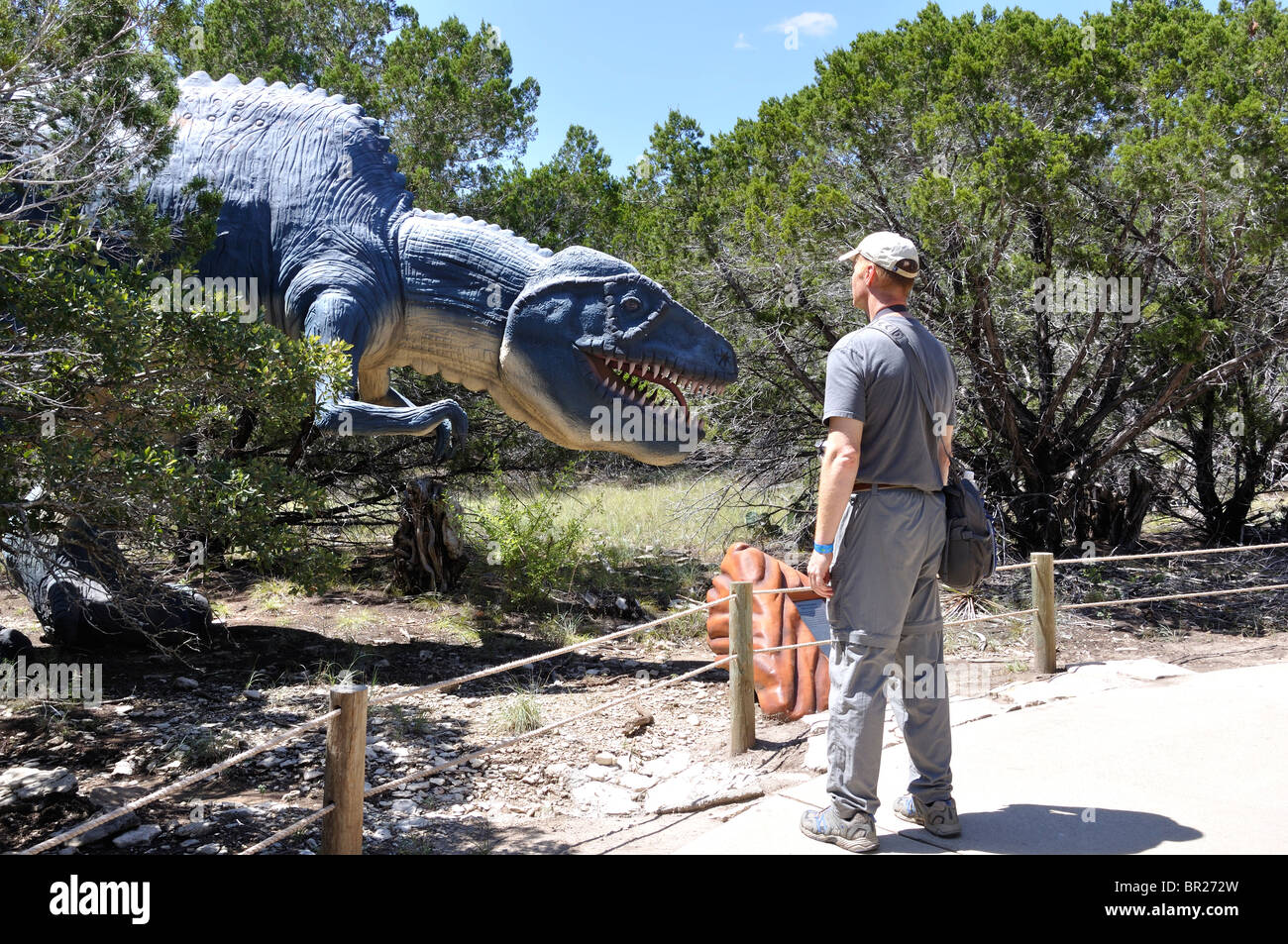 Dryptosaurus, Dinosaur World, Glen Rose, Texas, USA Stock Photo Alamy