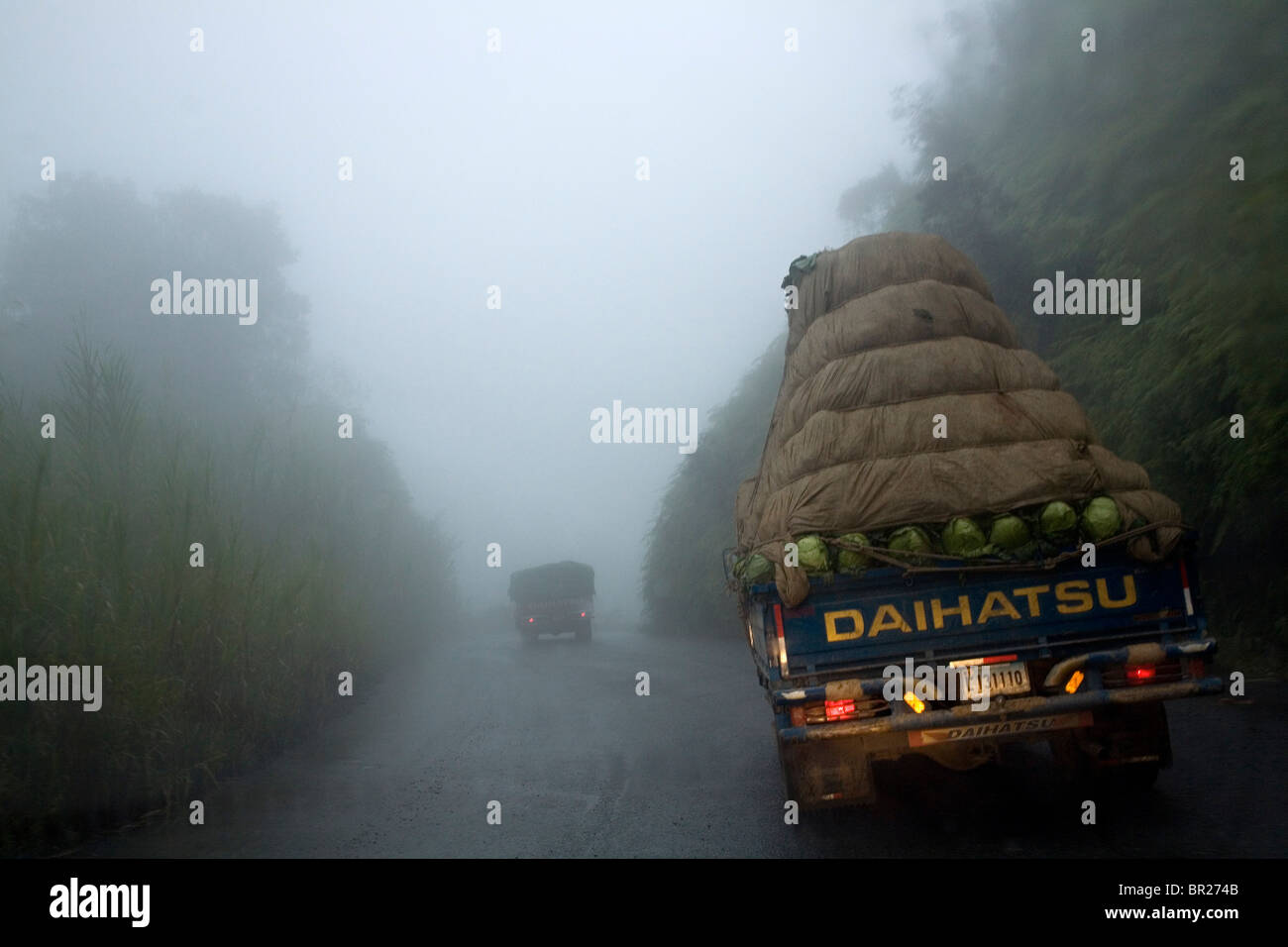 A truck transports produce on a foggy mountain road Stock Photo