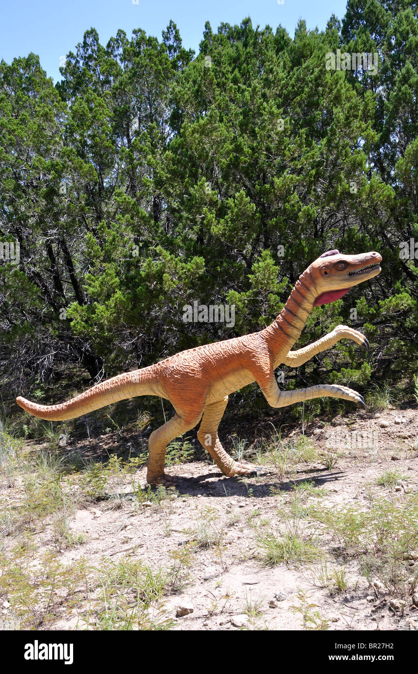 Coelophysis, Dinosaur World, Glen Rose, Texas, USA Stock Photo