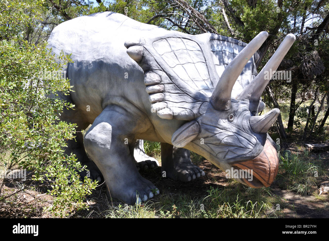 Dinosaur dinosaurs dino chasmosaurus world museum exhibition glen rose