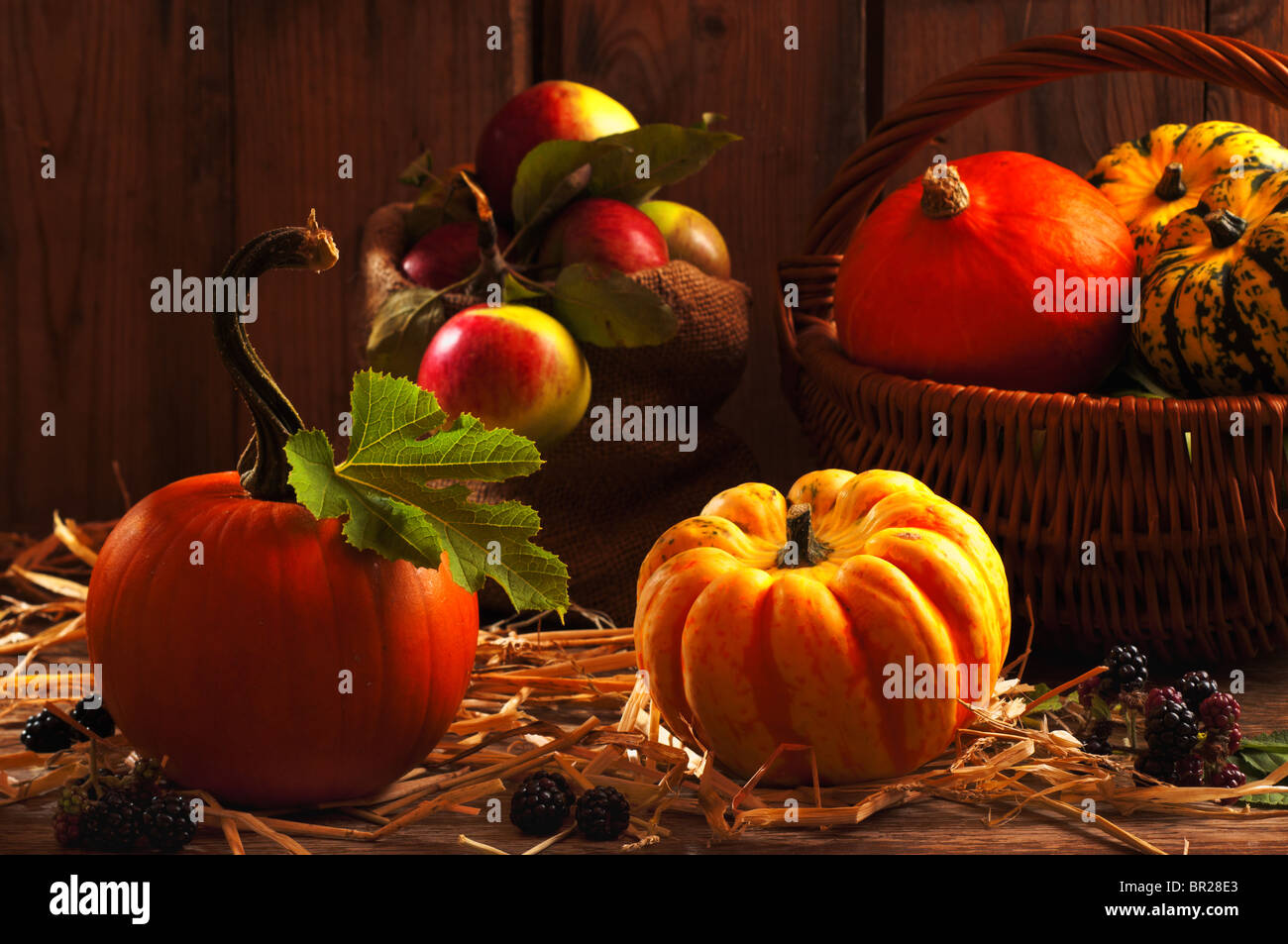 Harvest setting with pumpkins, gourds, orchard apples and blackberry fruits Stock Photo