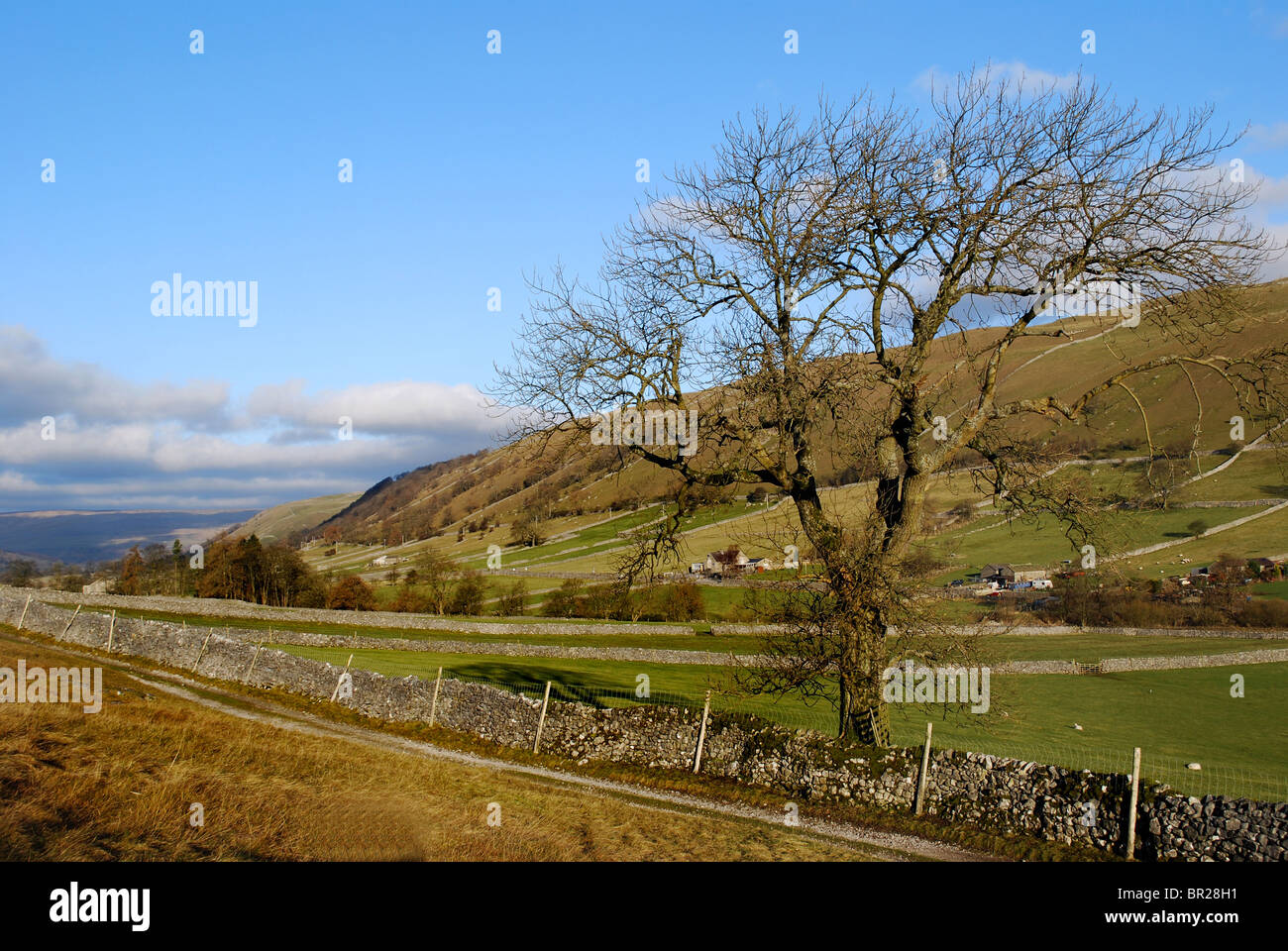 The U shaped valley of the River Wharfe in Wharfedale North Yorkshire Stock Photo