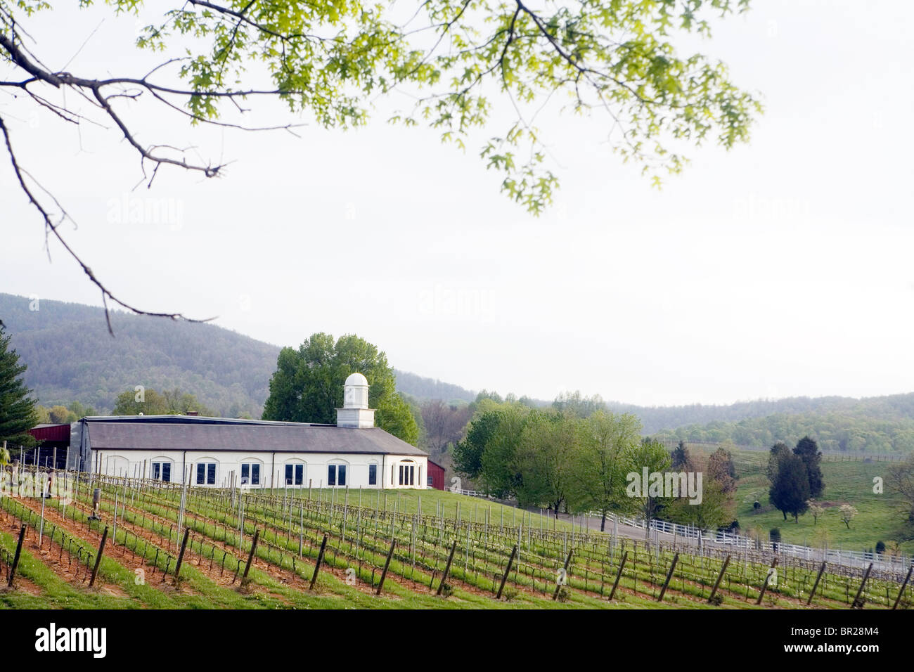 View of a winery in Barboursville, Virginia. Stock Photo