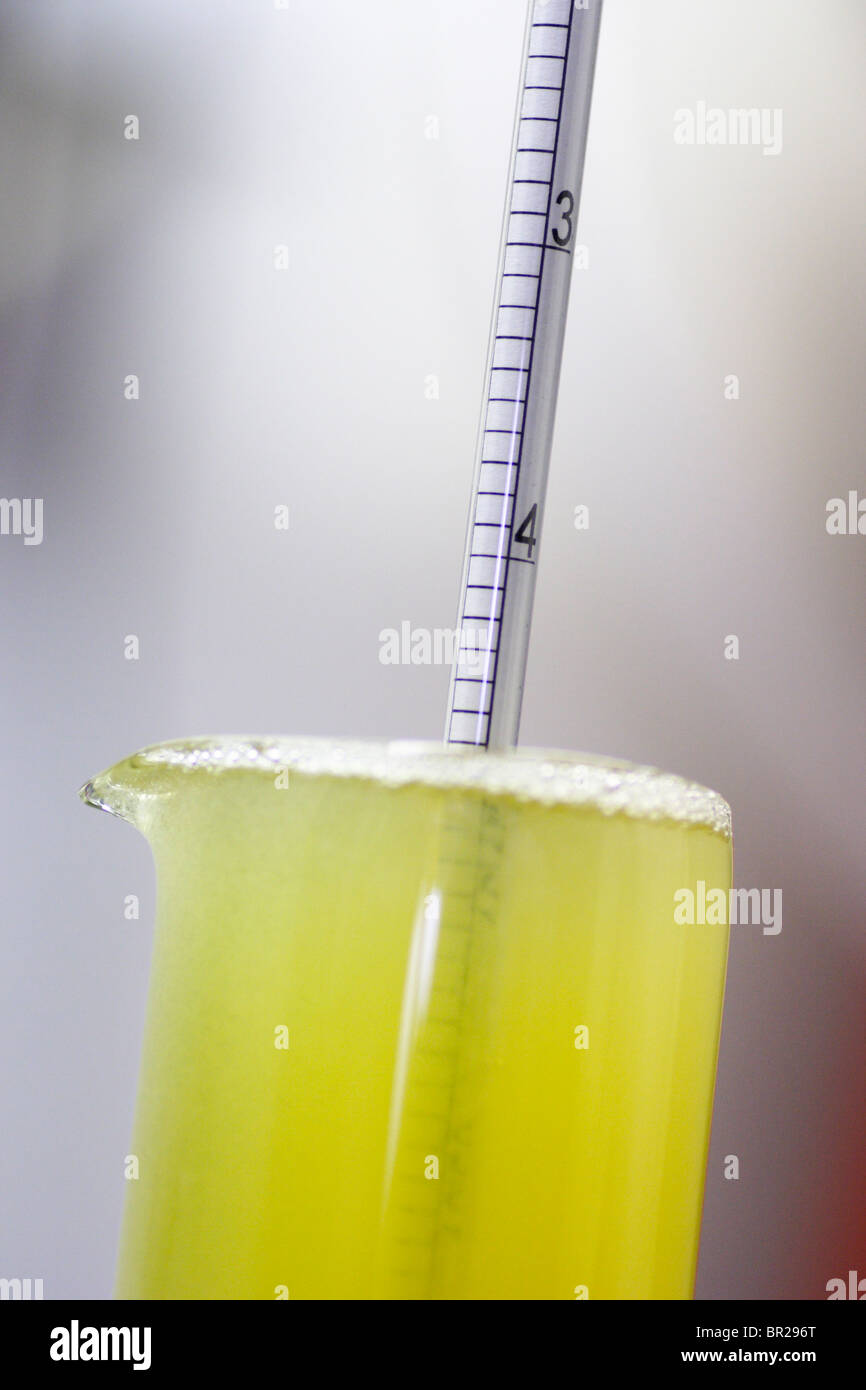 An hydrometer being used to check the original gravity of beer. Stock Photo