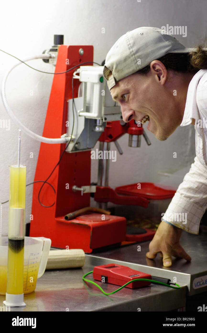 A brewer checking the original gravity of beer with a hydrometer. Stock Photo