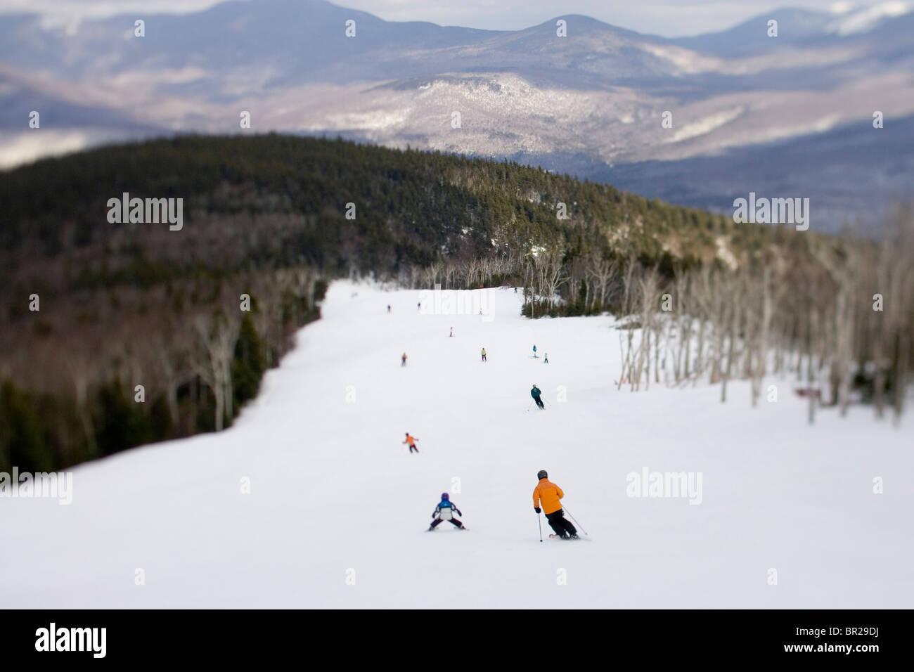 Skiers on a trail in Newry, Maine. Stock Photo