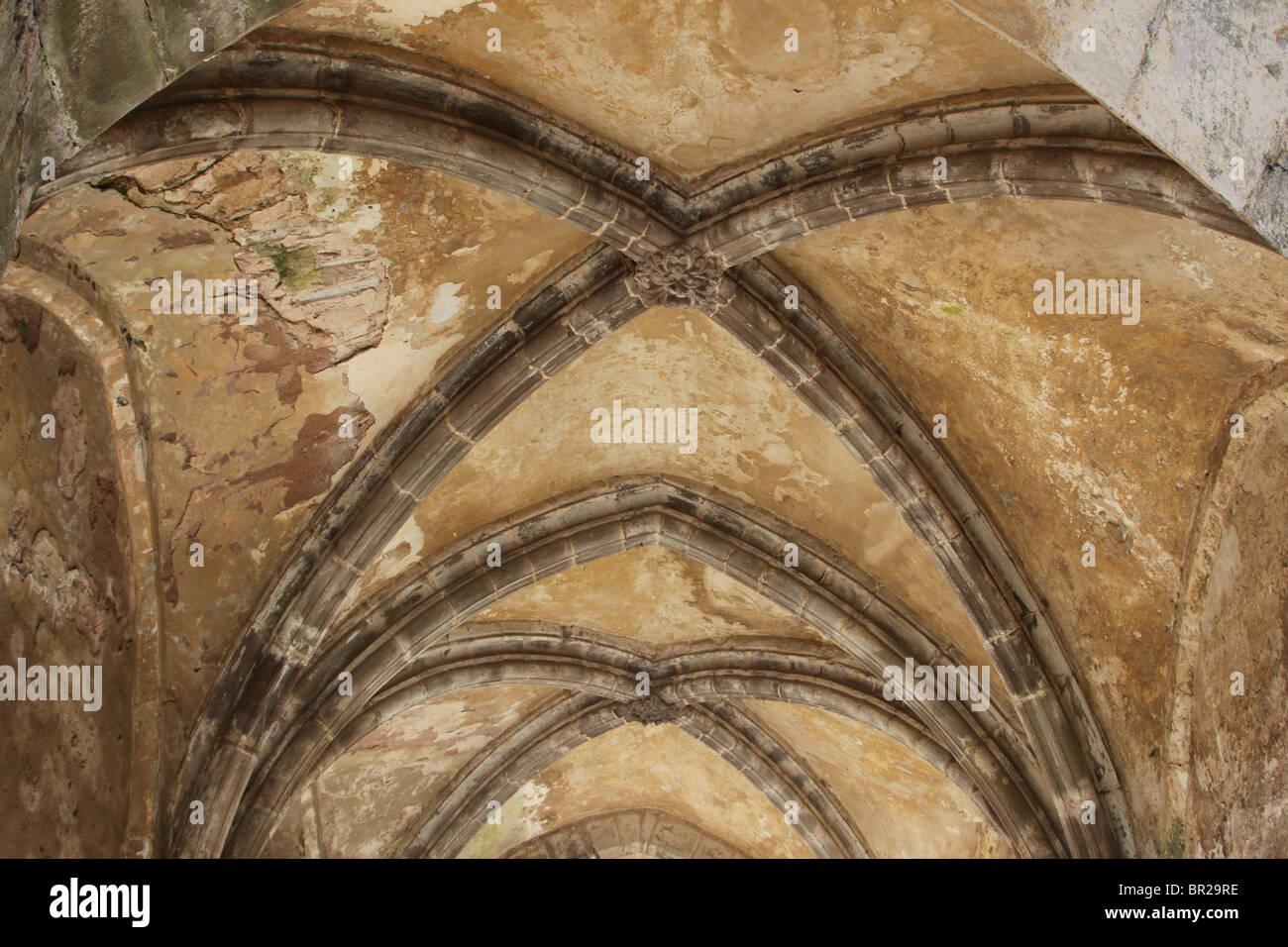 Celing of one of the buildings at Llanthony Priory in the Black Mountains, Wales Stock Photo