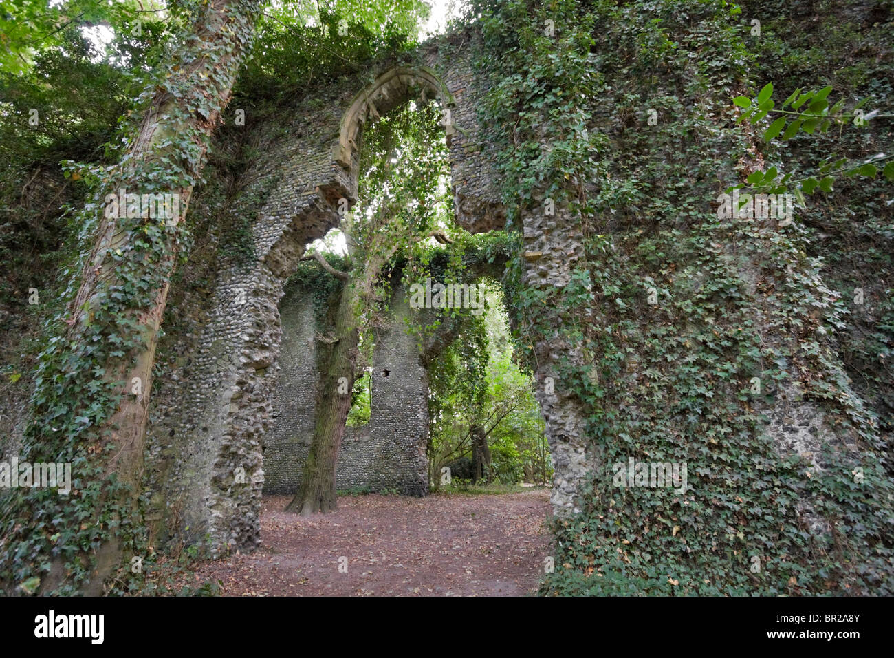 Ivy clad ruin of the Parish Church of St Mary, East Somerton, Norfolk Stock Photo
