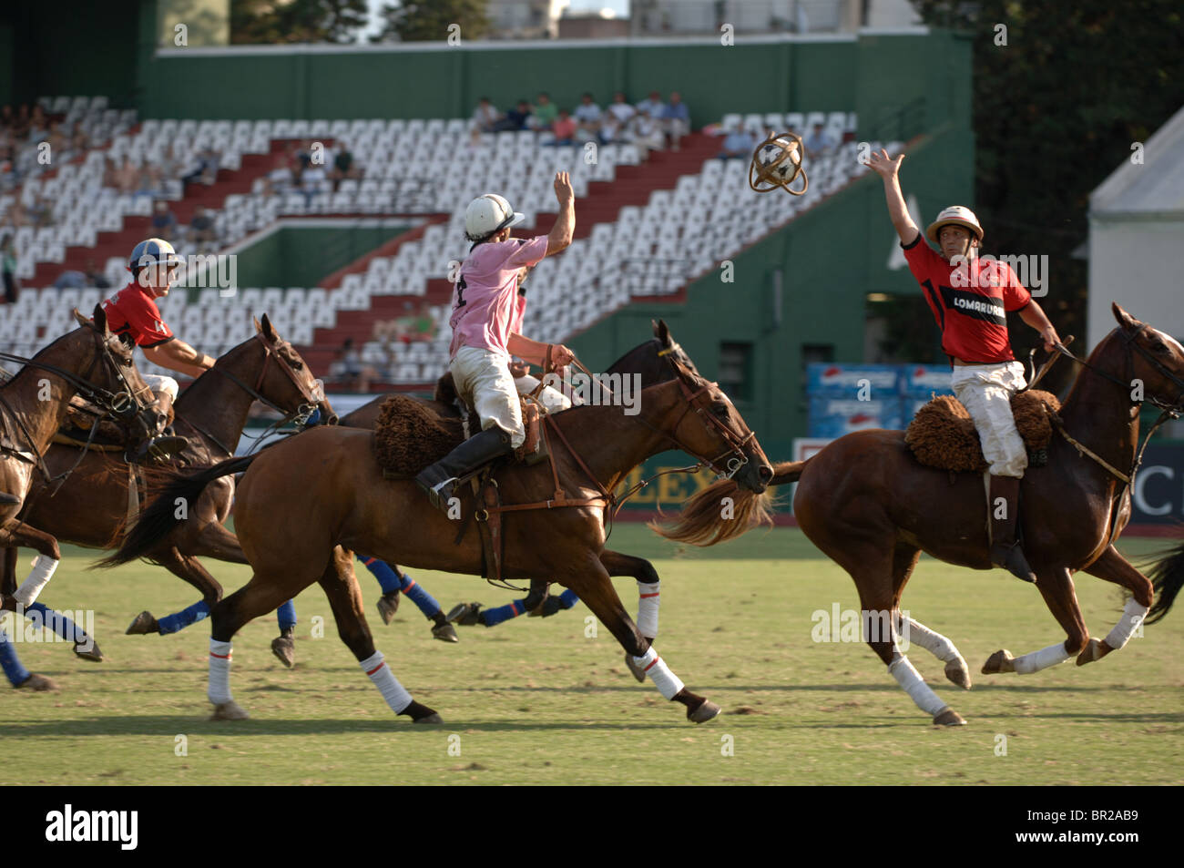 Pato horse hires stock photography and images Alamy