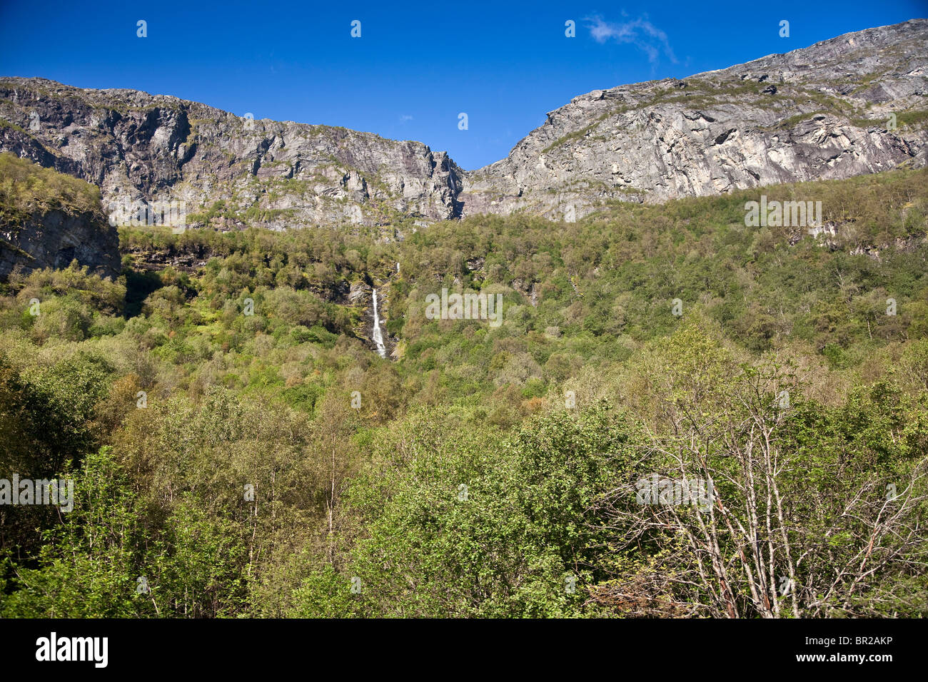 Mountain valley landscape view from the Flåm famous tourist railway line in Norway. Stock Photo