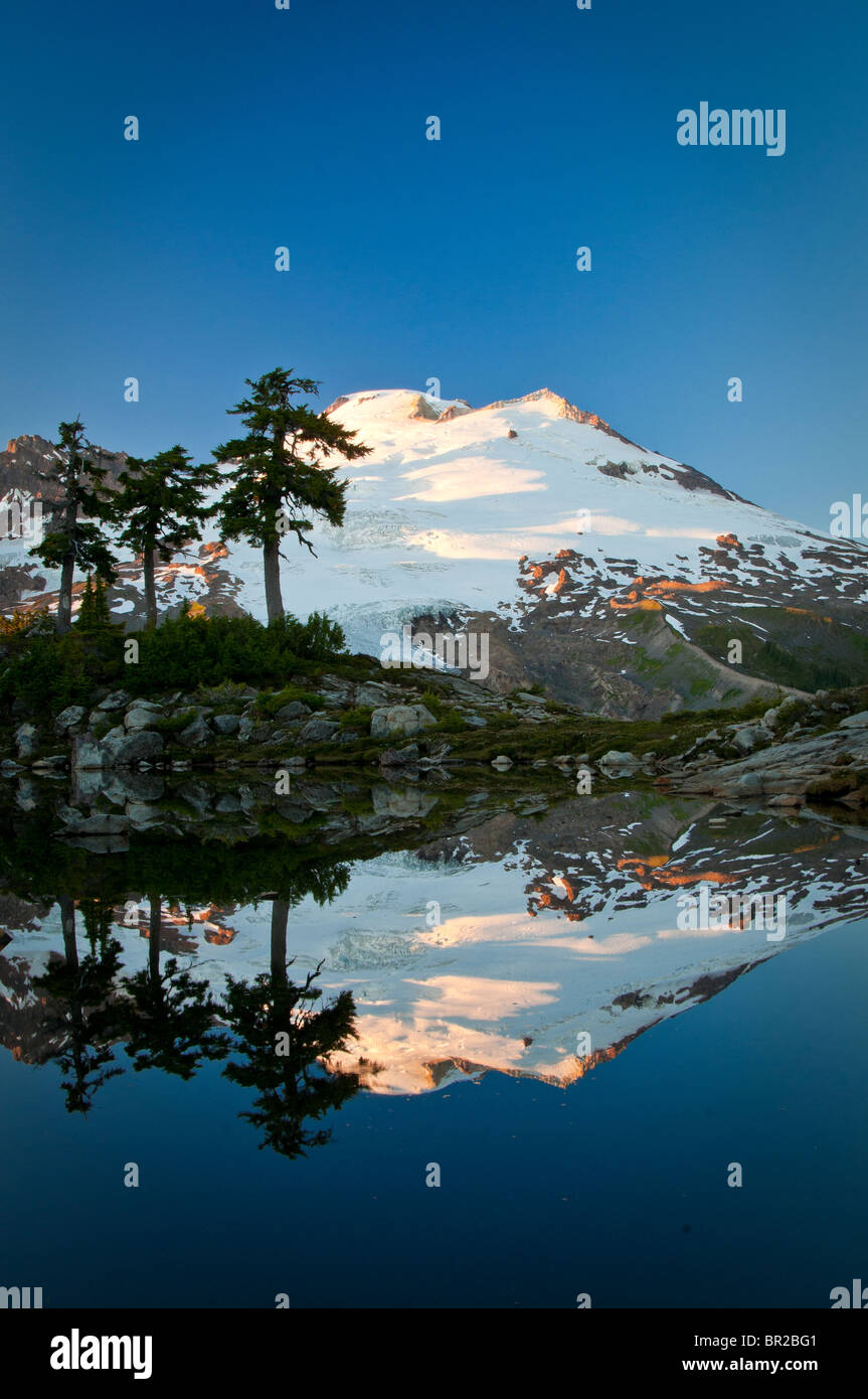 Mount Baker and reflection in tarn; Park Butte Trail, Mount Baker
