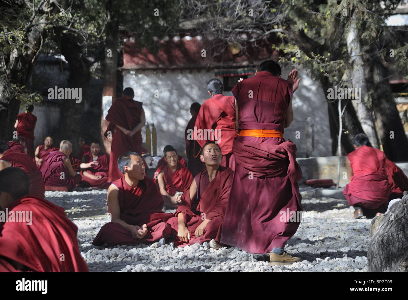 Debating Monks, Sera Monastery, Lhasa, Tibet Stock Photo