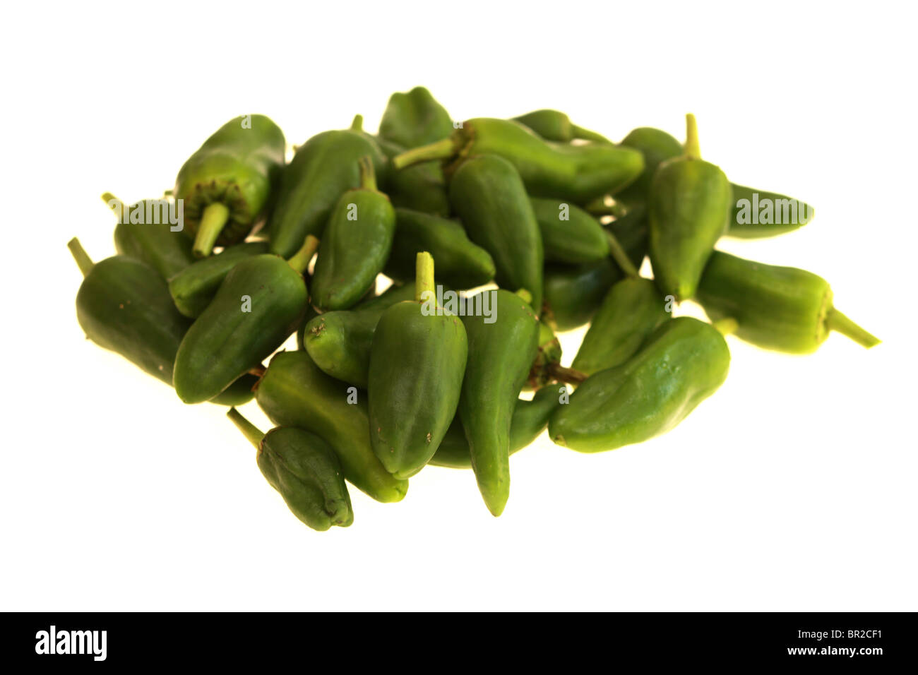 Green Spanish Padron Peppers Stock Photo Alamy