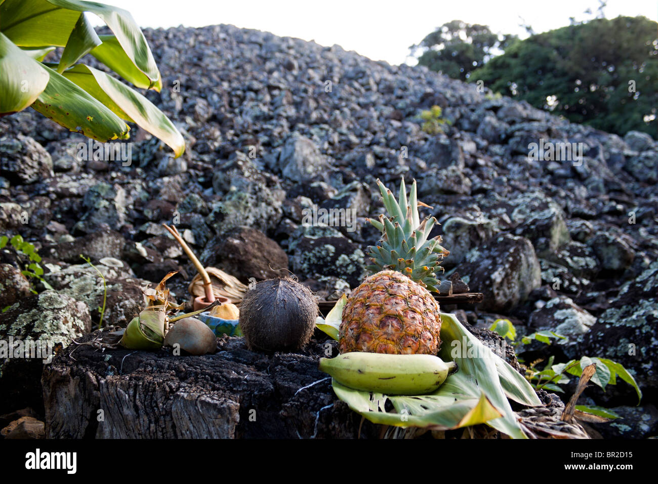 Offerings of food left at an altar at the bottom Hawaiian Heiau (temple) man-made stone structure Stock Photo