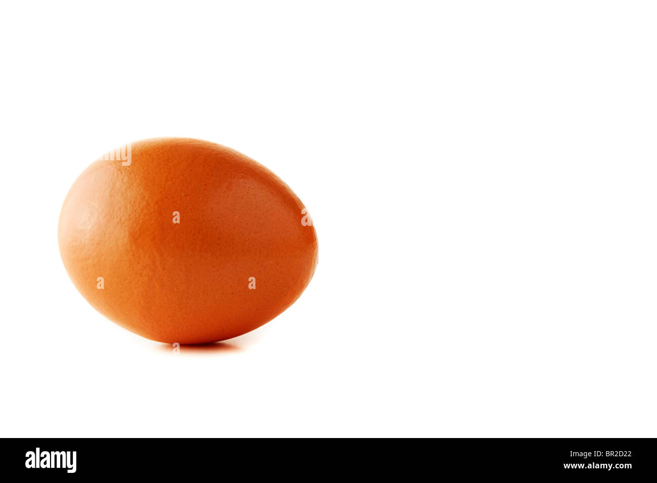 whithe background egg Stock Photo