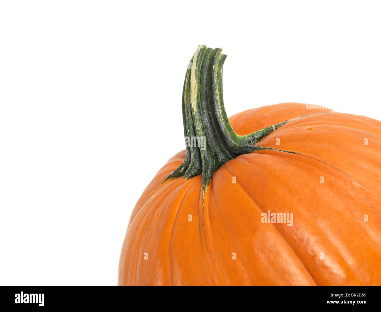 Closeup of a pumpkin isolated on white background Stock Photo
