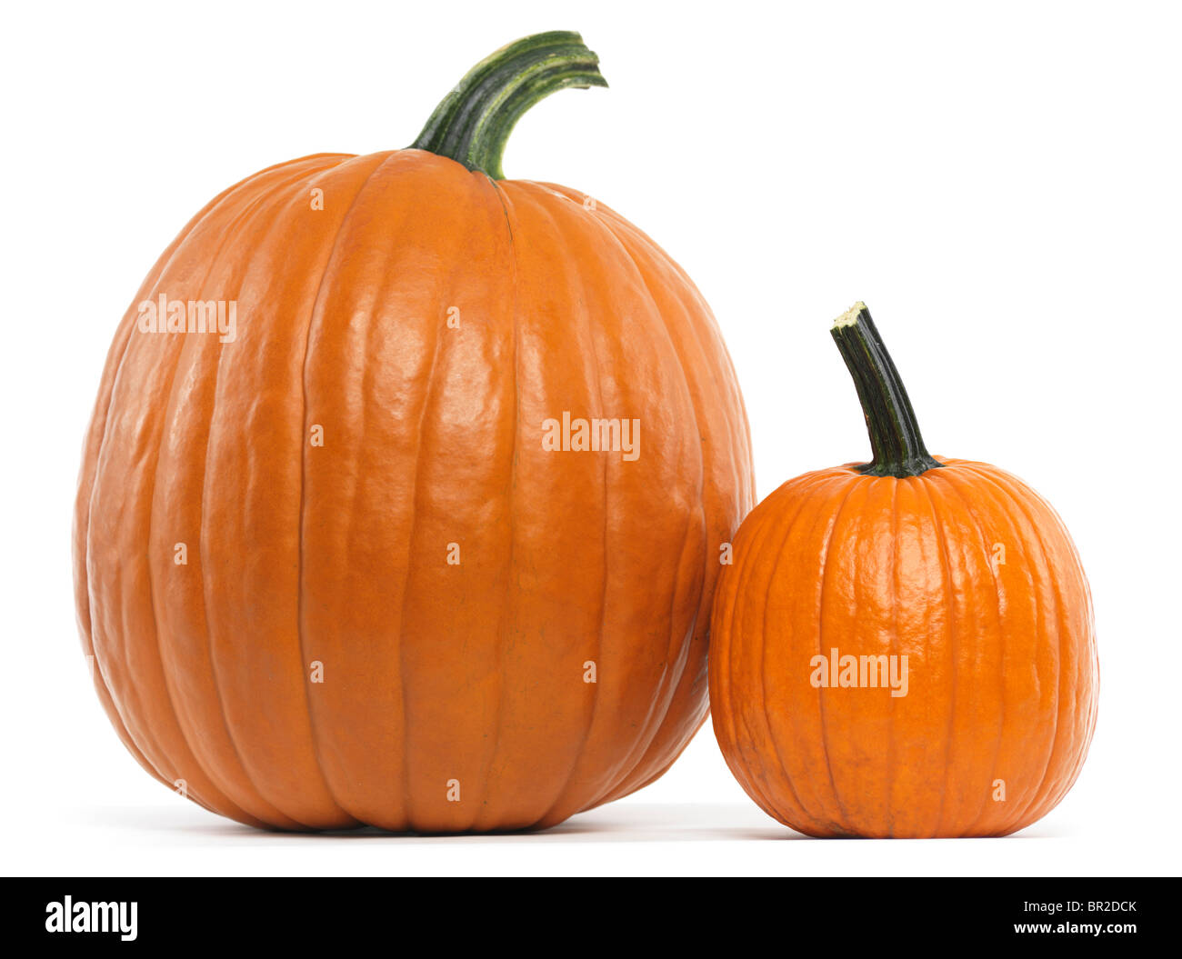 Large and a small pumpkin isolated on white background Stock Photo