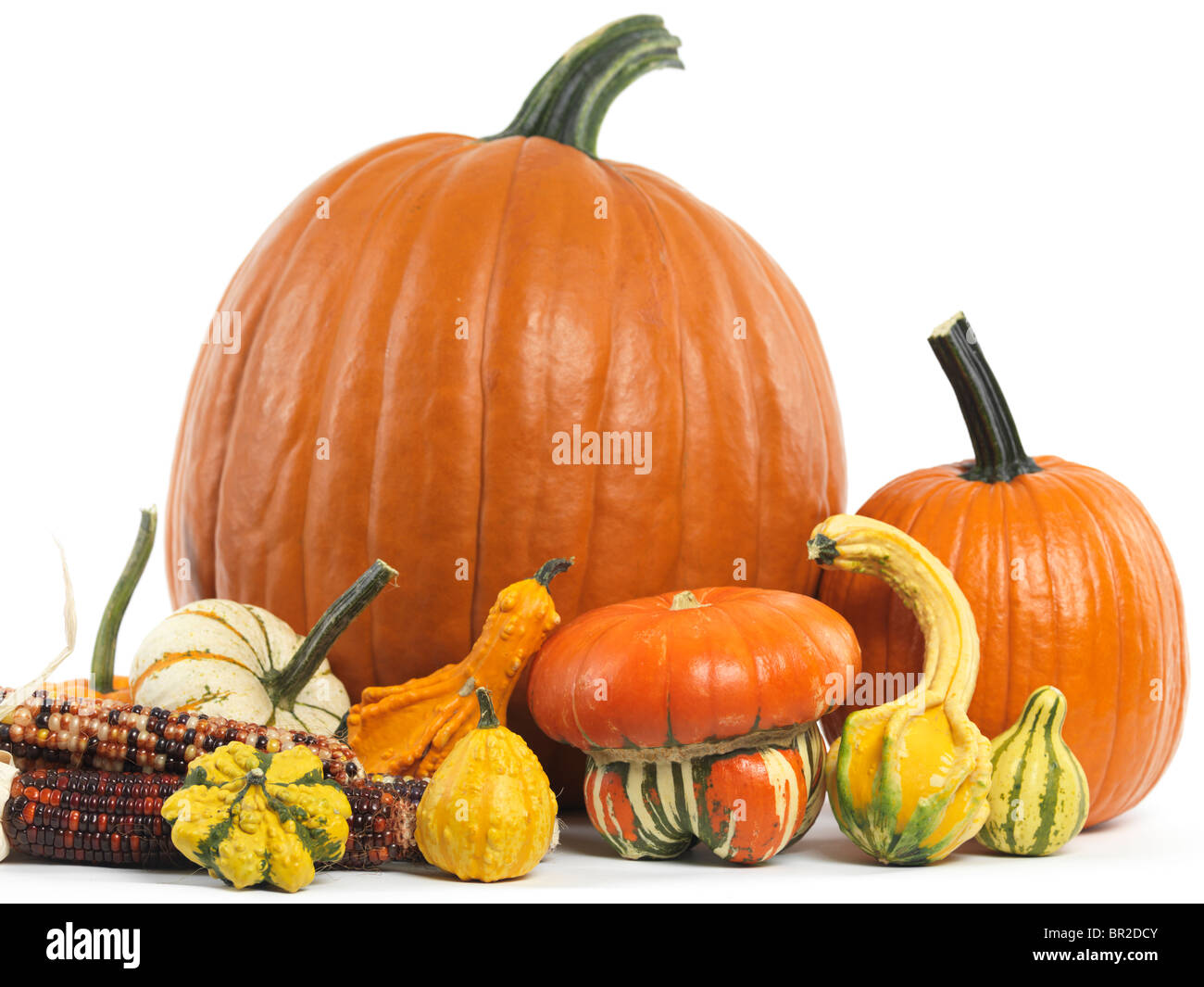 Pumpkins and gourds still life isolated on white background Stock Photo