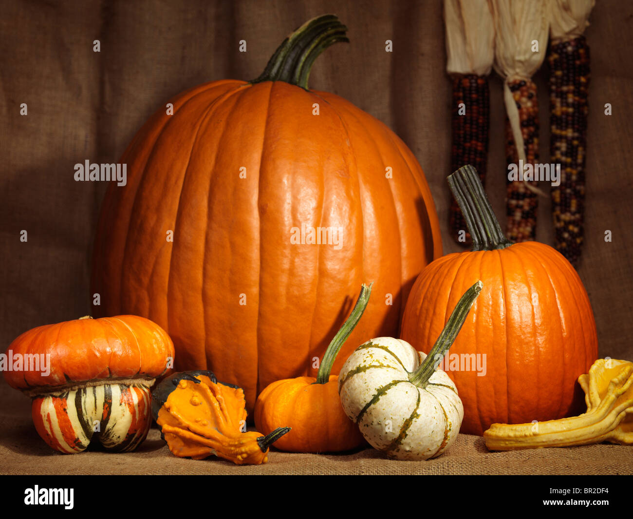 Pumpkins, gourds and indian corn artistic still life on burlap background Stock Photo