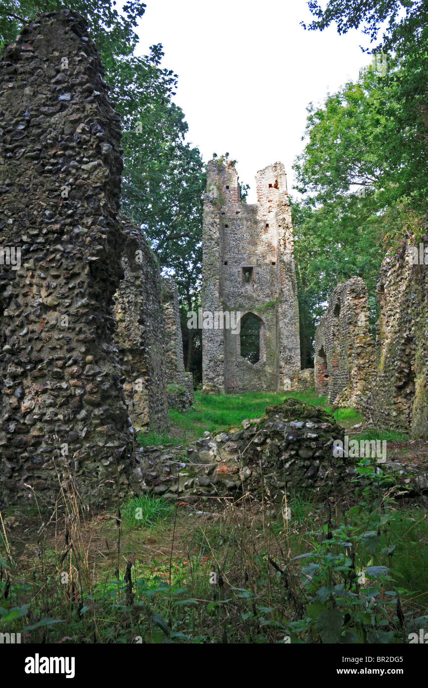 The ruined Church of Saint Mary at Saxlingham Thorpe, Norfolk, England