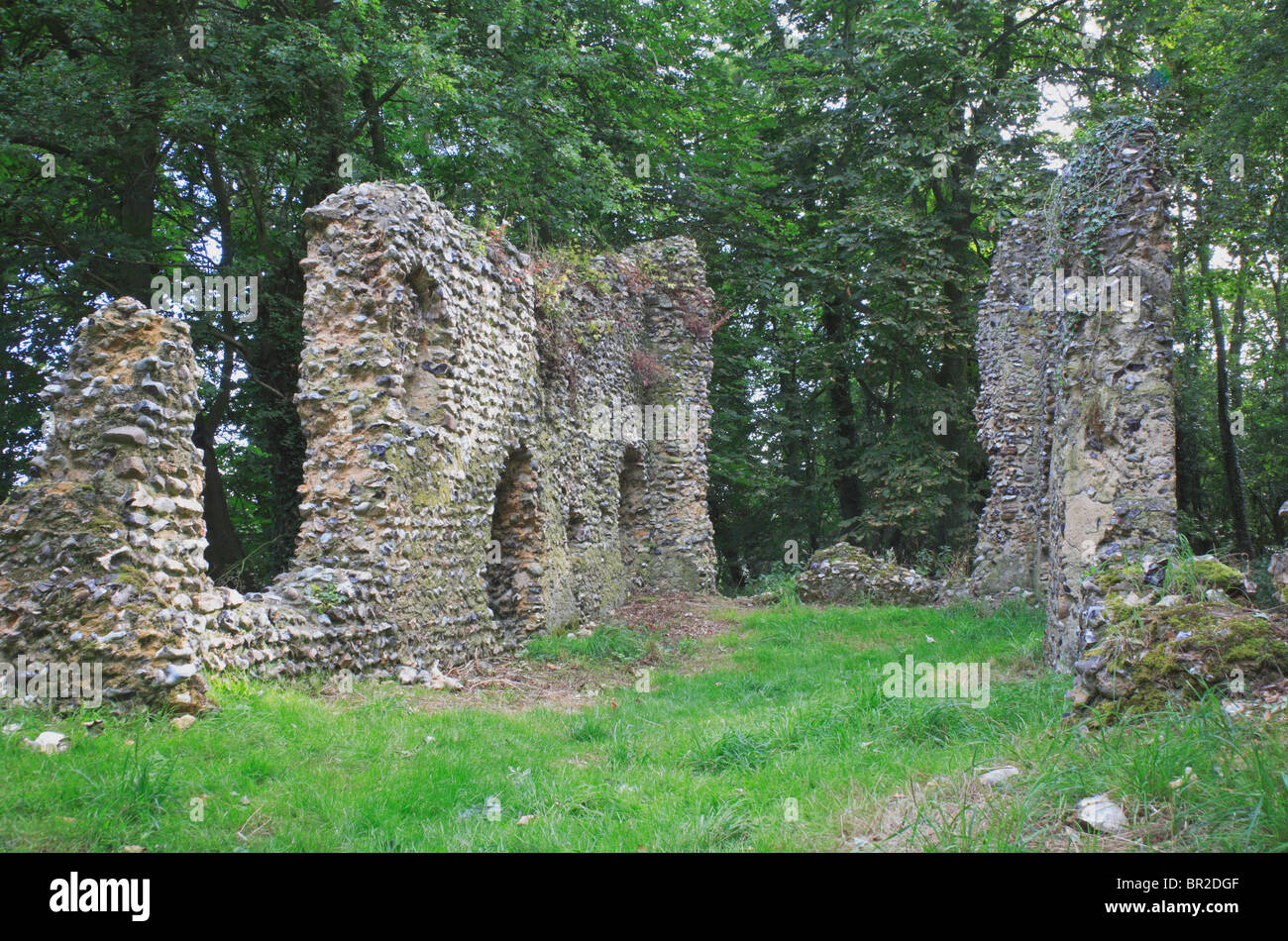 Ruined east end of the Church of Saint Mary at Saxlingham Thorpe, Norfolk, England, United Kingdom. Stock Photo