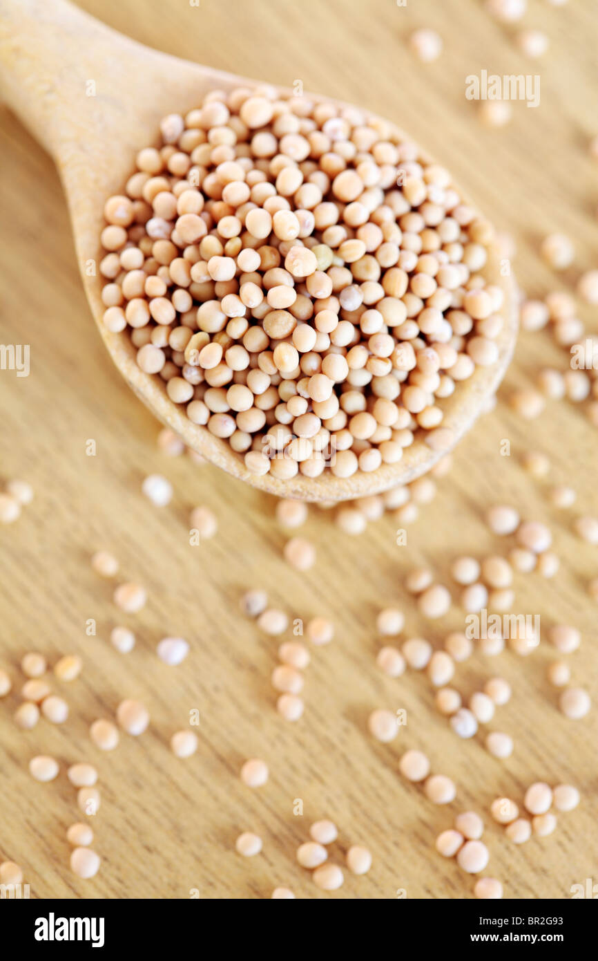 Yellow Mustard Seeds Stock Photo Alamy