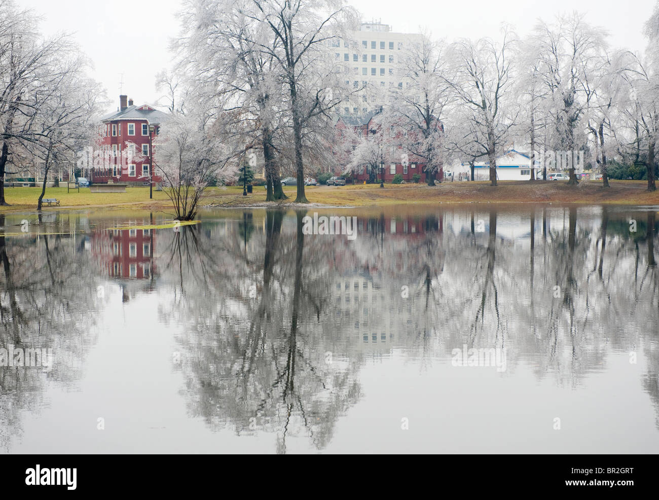 Ice Storm in Elm Park, Worcester, MA Stock Photo Alamy