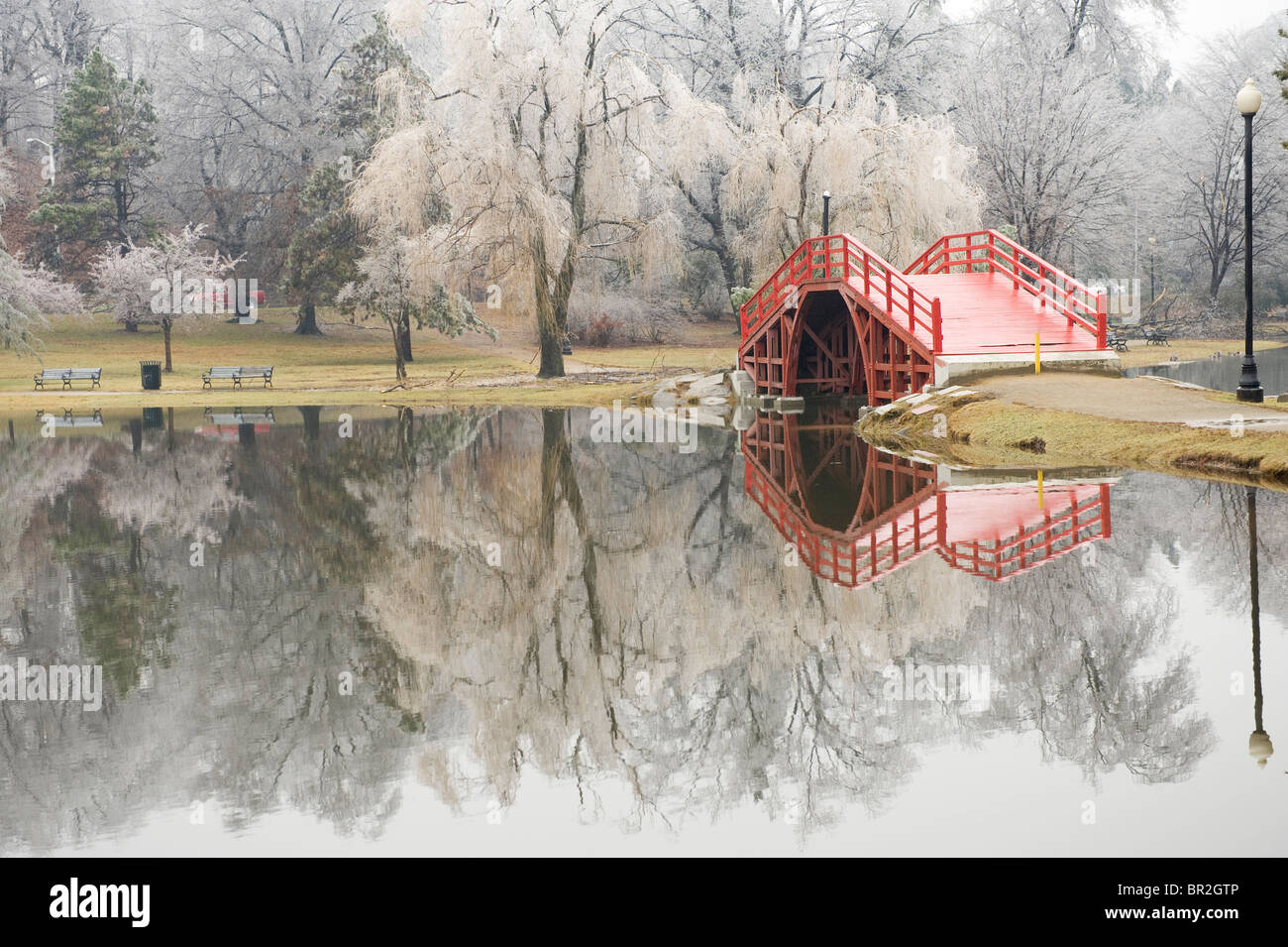 Ice Storm in Elm Park, Worcester, MA Stock Photo Alamy