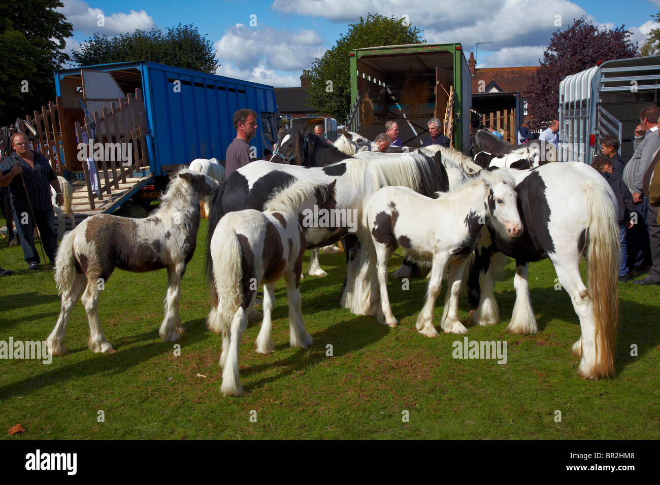 Gypsy horse Fair Horsmonden Stock Photo Alamy