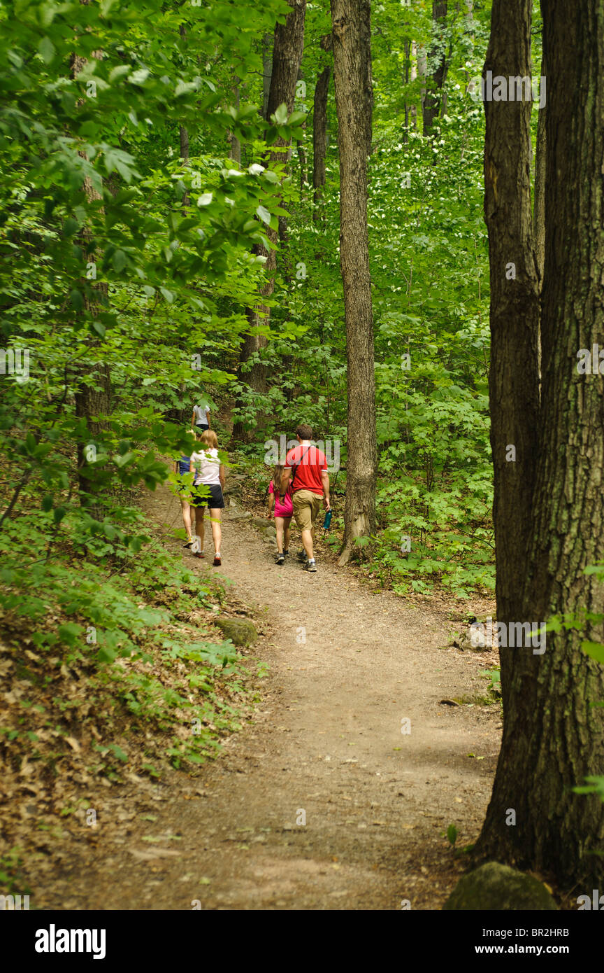 Pink lake gatineau park hi-res stock photography and images - Alamy