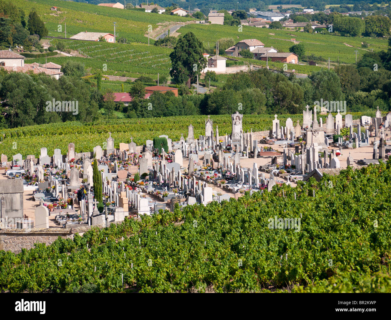 The Fleurie graveyard amidst the vineyards in Beaujolais, France Stock Photo