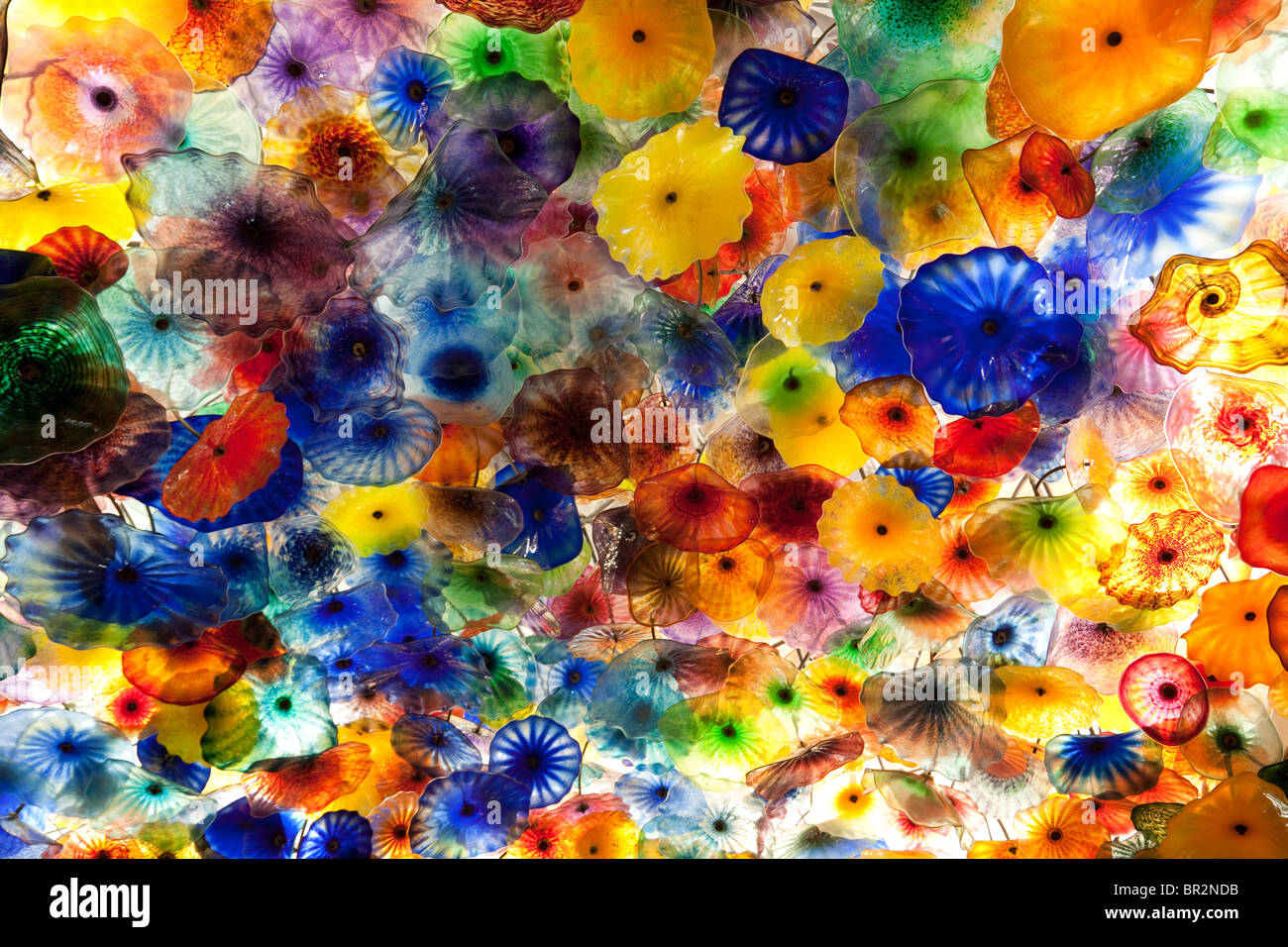 A close up of the glass chandelier called the Fiori di Como, by Dale Chihuly, the lobby, the Bellagio Hotel, Las Vegas USA Stock Photo