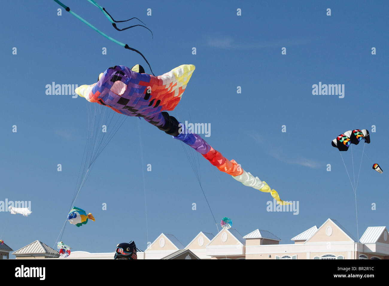 Dragon kite flying Stock Photo Alamy