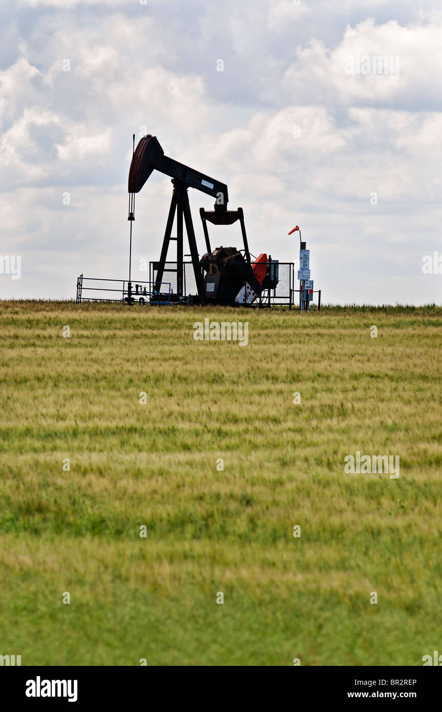 An oilfield pumpjack belonging to PennWest Energy pumps crude oil near Kerrobert, Saskatchewan. Stock Photo