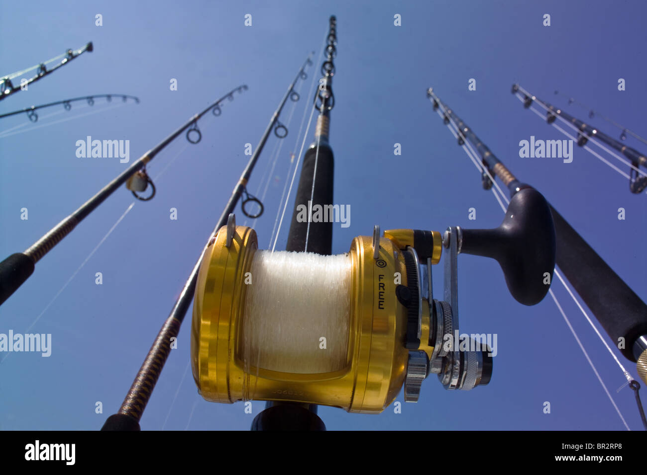 Fishing rods Stock Photo - Alamy
